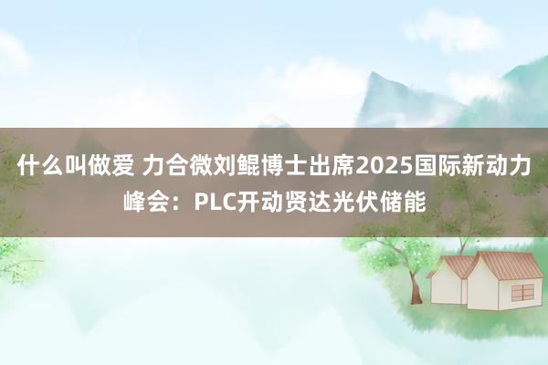 什么叫做爱 力合微刘鲲博士出席2025国际新动力峰会：PLC开动贤达光伏储能