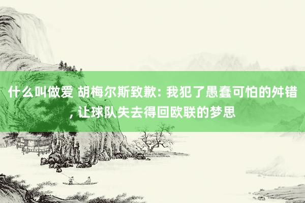 什么叫做爱 胡梅尔斯致歉: 我犯了愚蠢可怕的舛错， 让球队失去得回欧联的梦思