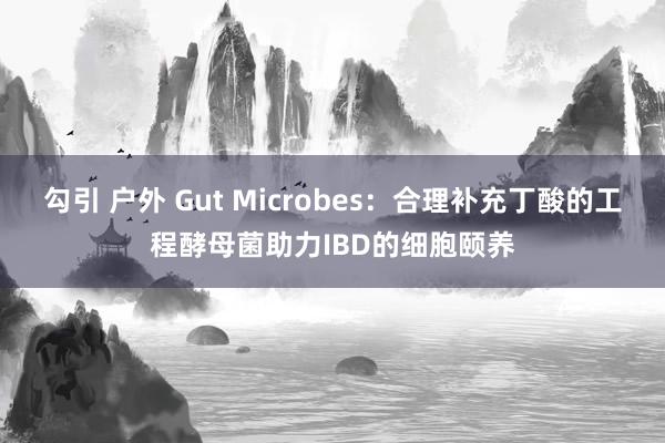 勾引 户外 Gut Microbes：合理补充丁酸的工程酵母菌助力IBD的细胞颐养