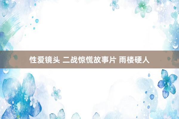 性爱镜头 二战惊慌故事片 雨楼硬人