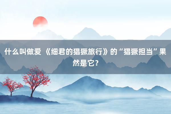 什么叫做爱 《细君的猖獗旅行》的“猖獗担当”果然是它？